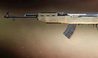 和平精英是什么枪最厉害 和平精英什么枪最好