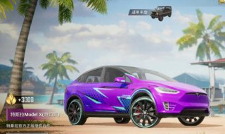 和平精英如何用兑换码兑换特斯拉（和平精英如何用兑换码兑换特斯拉汽车）