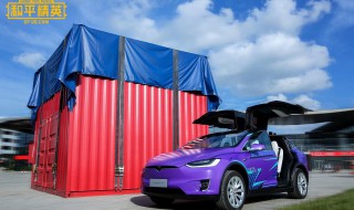 和平精英特斯拉冷光银多少钱 和平精英特斯拉银色多少钱