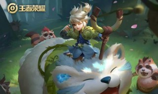 王者荣耀阿古朵技能介绍 王者荣耀里阿古朵是什么英雄
