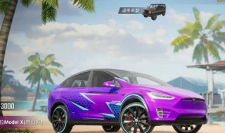 和平精英特斯拉抽奖价格（和平精英特斯拉抽奖视频,最便宜出）