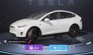 和平精英特斯拉换哪一个好（和平精英特斯拉值得入手吗）