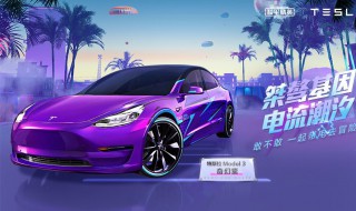 和平精英吉普特斯拉多少钱能出（和平精英大概多少钱能出特斯拉）