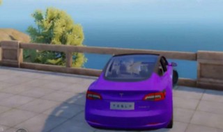 特斯拉皮肤怎么免费领取（免费送特斯拉皮肤的方法）