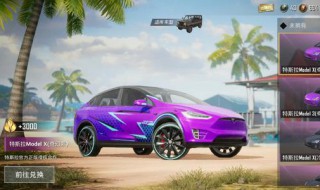 和平精英在哪里兑换特斯拉（和平精英在哪里兑换特斯拉皮肤）