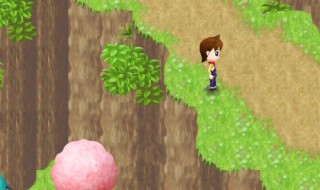 牧场物语女孩版攻略（牧场物语女孩版攻略多特）