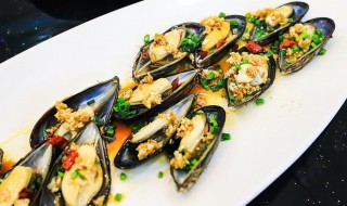 淡菜冷水还是热水下锅 淡菜要冷水下锅还是热水