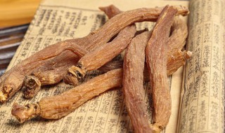 女性吃红参的禁忌(女性吃红参的禁忌有哪些)