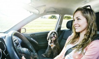 汽车外检是什么意思 车辆外检是什么意思