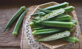 秋葵水培种植方法 秋葵水培种植方法视频