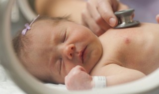 如何正确抚养新生儿（如何正确抚养新生儿视频）