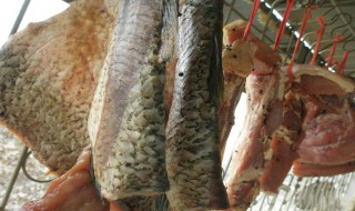 腌鱼几天可以拿出来晒要洗吗? 腌鱼几天可以拿出来晒