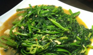腐乳汁空心菜的做法大全窍门 腐乳空心菜做法