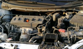 怎么防止老鼠进到汽车里 怎么防止老鼠进到汽车里呢