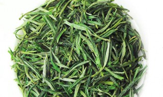 翠兰的正确浇水方法（翠兰的正确浇水方法视频）