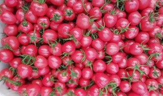 清洗千禧果的最新方法图片 清洗千禧果的最新方法