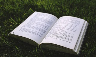 关于生日说说 关于生日说说的句子如期而至