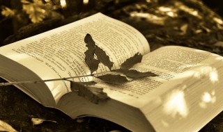 撩男人朋友圈句子 撩男生很甜很撩的句子