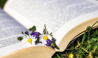 各种奇葩的分手理由 各种奇葩的分手理由图片