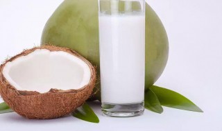 椰奶的功效与作用禁忌（椰奶的禁忌与副作用）