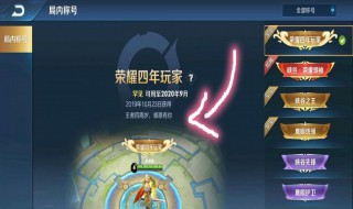 王者荣耀称号在哪里佩戴（王者荣耀称号在哪里佩戴的）