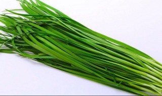 韭菜和绿豆能一起吃吗（韭菜和绿豆能一起吃吗早餐）