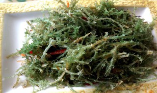 鹿角菜的泡发方法视频 鹿角菜的泡发方法