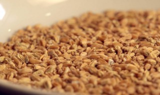 浮小麦的禁忌（浮小麦的禁忌和副作用）