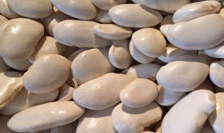 大白芸豆怎么做有营养 大白芸豆怎么做好吃法大全