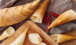 冬笋怎么炖好吃又简单 冬笋能炖吗