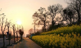 失恋了怎么发朋友圈挽回(失恋了怎么发朋友圈挽回文案)