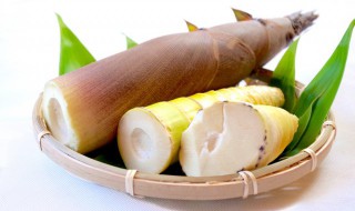 冬笋草酸高吗（冬笋有没有草酸）