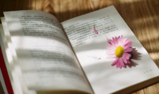 晚安最新一句话 晚安这句话