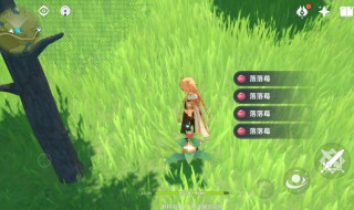 原神落落莓采集点在哪里（原神落落莓采集路线）