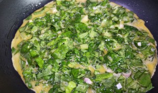 麻汁蛋饼拌生菜的做法（麻汁蛋饼拌生菜的做法大全）