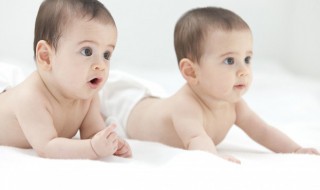 木字旁的字男孩起名字文雅（木字旁的字男孩起名字文雅点）