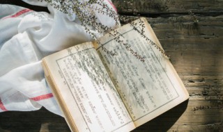 一丁什么意思（出前一丁什么意思）