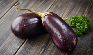 豆瓣茄子的做法 豆瓣炒茄子的家常做法大全