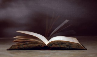 金钗十二的意思 十二金钗啥意思