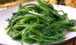 空心菜种子怎么种 空心菜种子怎么种植方法