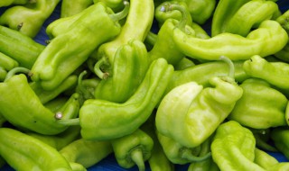 青椒怎么种（青椒怎么种植视频）