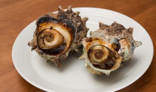 香菜拌海螺怎么做（香菜拌海螺怎么做好吃）