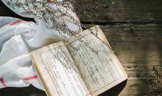 百尺竿头更进一步什么意思（力争百尺竿头更进一步什么意思）