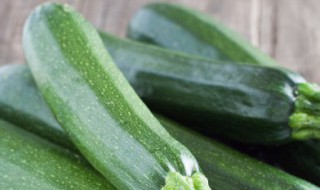 白瓜怎么种（种白瓜怎么种）