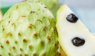 释迦果的籽怎么种 释迦果的籽怎么种出来的