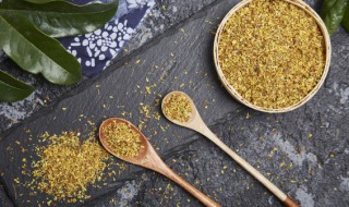 桂花种子怎么种 桂花种子怎样种