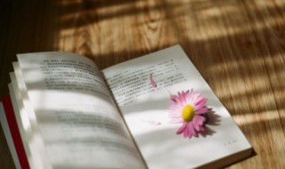 华灯初上夜未央是什么意思 华灯初上夜未央是啥意思