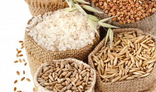 荞麦怎么种（荞麦怎么种什么时候种）