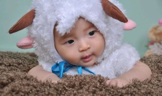 2022年2月份出生的宝宝起名（2022年农历二月的宝宝名字）