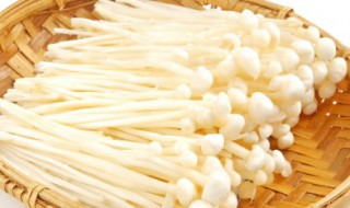 金针菇炒肉怎么做（金针菇炒肉怎么做好吃又简单）